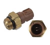 Febi bilstein 174180 Thermal Switch
