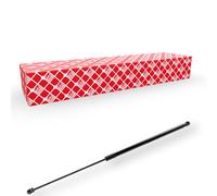 FEBI BILSTEIN 174357 Bonnet strut
