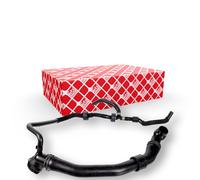 febi bilstein 174403 Radiator hose