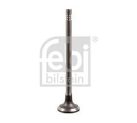 Inlet Valve 175555 Febi 132010370R 132010370RSK 132017444R 132017444RSK Quality