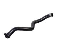 FEBI BILSTEIN 175571 Radiator hose