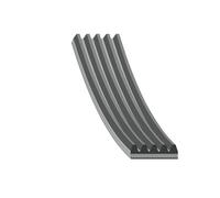 FEBI BILSTEIN 176318 Serpentine belt