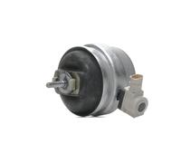 FEBI BILSTEIN 176956 Engine mount