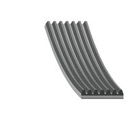 FEBI BILSTEIN 177663 Serpentine belt