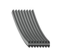 FEBI BILSTEIN 177989 Serpentine belt