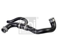 FEBI BILSTEIN 179482 Radiator hose