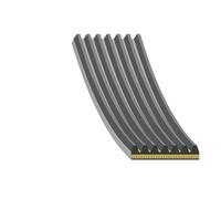 FEBI BILSTEIN 179766 Serpentine belt