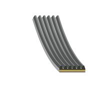 FEBI BILSTEIN 179843 Serpentine belt