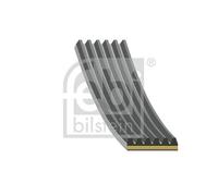 FEBI BILSTEIN 179843 Serpentine belt
