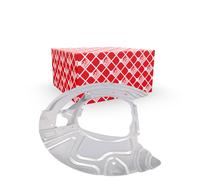 FEBI BILSTEIN 179888 Splash Panel, brake disc