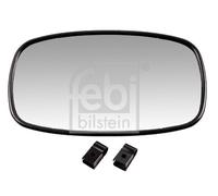 FEBI BILSTEIN 180000 Driver Cab Exterior Mirror Unheated Fits Case LH Fendt