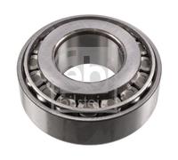 FEBI BILSTEIN 18055 Bearing for DAF,IVECO,MERCEDES-BENZ