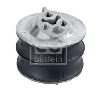 FEBI BILSTEIN 18065 Engine mount
