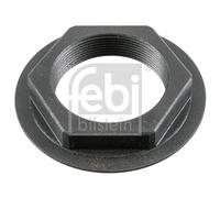 Hub Nut 181119 Febi 1672160 8171338 8171956 7408171338 Top Quality Guaranteed