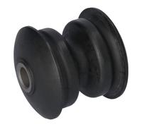 FEBI BILSTEIN 181279 Bush, leaf spring