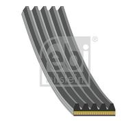 FEBI BILSTEIN 181286 Serpentine belt