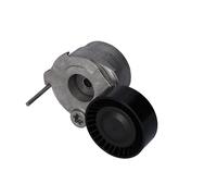 FEBI BILSTEIN 181314 Drive belt tensioner