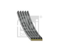 FEBI BILSTEIN 183299 Serpentine belt