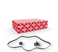 FEBI BILSTEIN 183565 V-Ribbed Belt Set