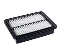 FEBI BILSTEIN 184051 Air filter