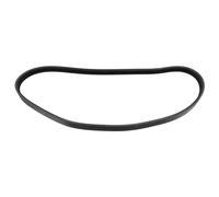 VBELT 18475 FOR DAF VF 390 M 14.0L WS225/242/259/268L/268/268G/268M/282 11.6L