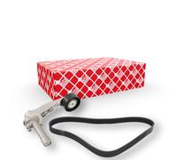 FEBI BILSTEIN 184827 V-Ribbed Belt Set