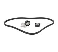 FEBI BILSTEIN 184895 V-Ribbed Belt Set