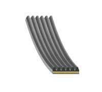 FEBI BILSTEIN 184917 V-Ribbed Belt Fits Audi Q8 A7 Sportback A8 D5 A6 C8 Avant