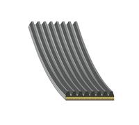 FEBI BILSTEIN 184928 Serpentine belt