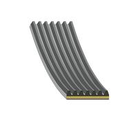 FEBI BILSTEIN 184929 Serpentine belt