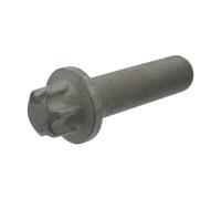 Ferdinand Bilstein Brake Disc Bolt Febi 18645 - Fits Schmitz Cargobull, Sauer Axles, Volvo