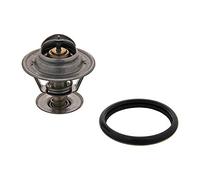 FEBI BILSTEIN 18979 Thermostat