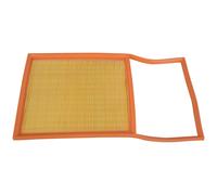 FEBI BILSTEIN 192849 Air filter