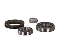 FEBI BILSTEIN 19295 Wheel bearing kit