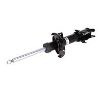 FEBI BILSTEIN 193146 Shock absorber