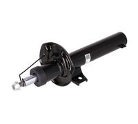 FEBI BILSTEIN 194146 Shock absorber