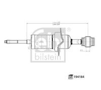 FEBI BILSTEIN 194184 Shock absorber