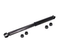 FEBI BILSTEIN 194209 Shock absorber