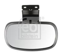FEBI BILSTEIN 194576 Ramp Mirror Front Manual Mode Unheated Fits DAF Volvo