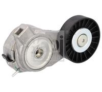 febi bilstein 19484 Tensioner Assembly for auxiliary belt, pack of one