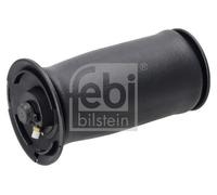 FEBI BILSTEIN 196297 Boot, air suspension