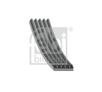 V-Ribbed Belt Fits Hyundai I30 Estate Coupe Fastback Getz FEBI BILSTEIN 198236