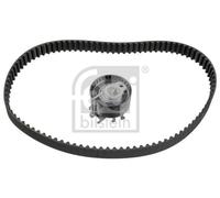 Timing Belt Kit fits NISSAN KUBISTAR X76 1.2 2006 on D4F712 Set 1680600QAW Febi
