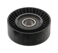 FEBI BILSTEIN 19871 Deflection / guide pulley, V-ribbed belt