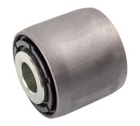 Rear Outer Anti Roll Bar Bush D Stabiliser 20mm Fits DAF 1283 618 Febi 22889