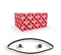 FEBI BILSTEIN 23292 Timing belt kit