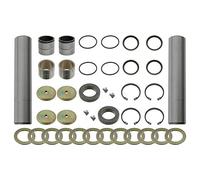febi bilstein 24650 King Pin Set