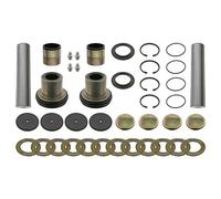 febi bilstein 24670 King Pin Set