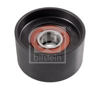 FEBI BILSTEIN 27169 Deflection / guide pulley, V-ribbed belt
