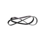 FEBI BILSTEIN 28810 Serpentine belt
